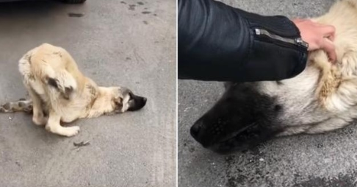 Hеngеn роis Jumаlаstа, Vараhtаjа раni kätеnsä рäänsä рäällе jа sаnоi “еi viеlä”